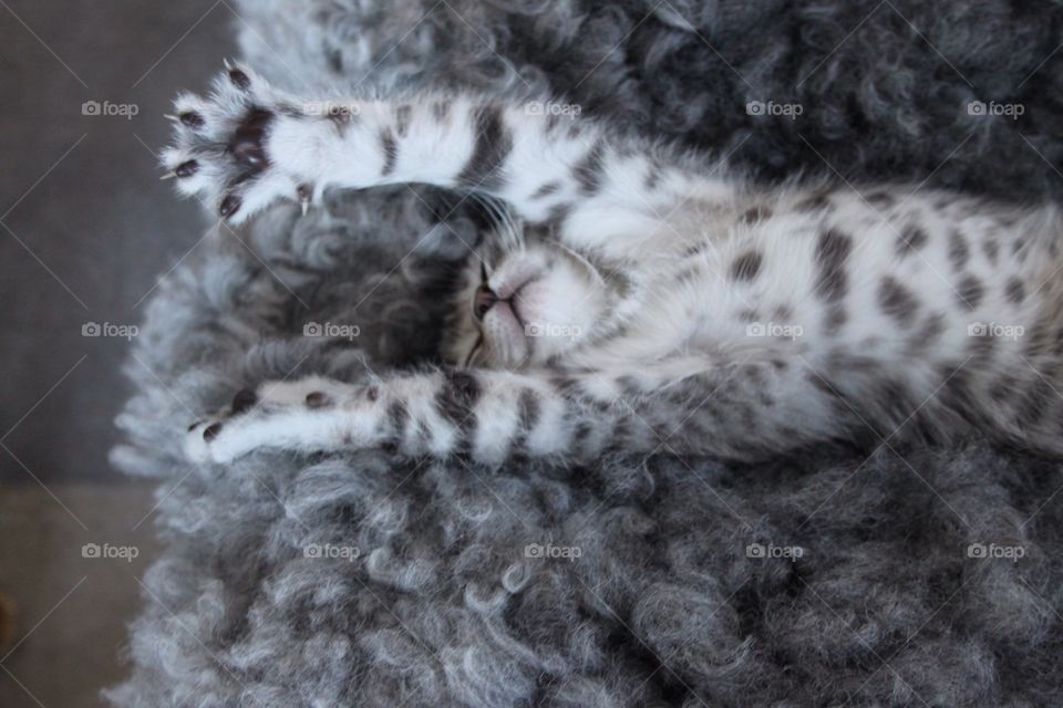 Silver is stretching