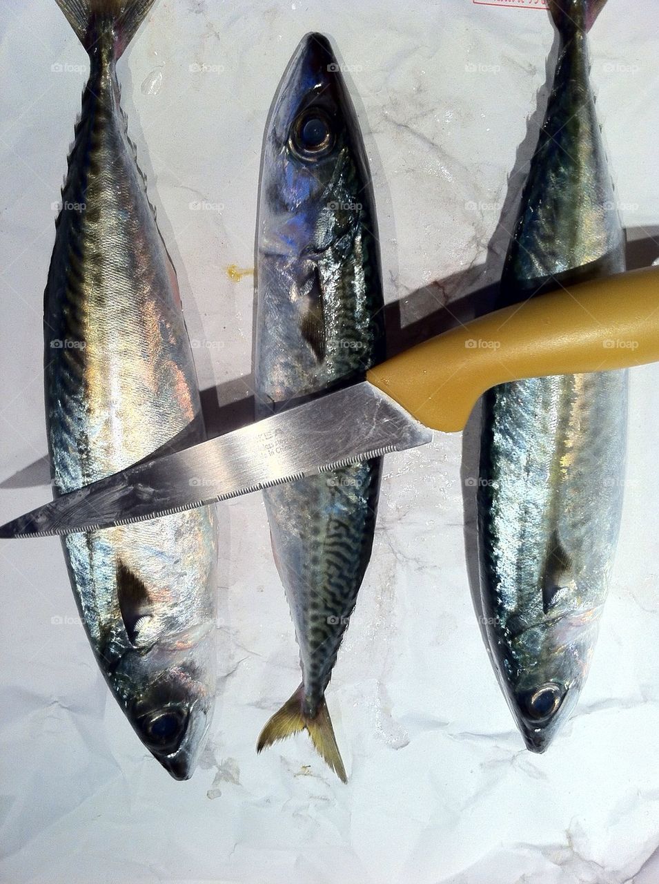 cooking fish knife dinner by botvidsson