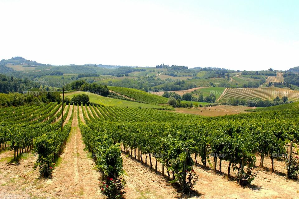 Chianti Wine Region - Italy 