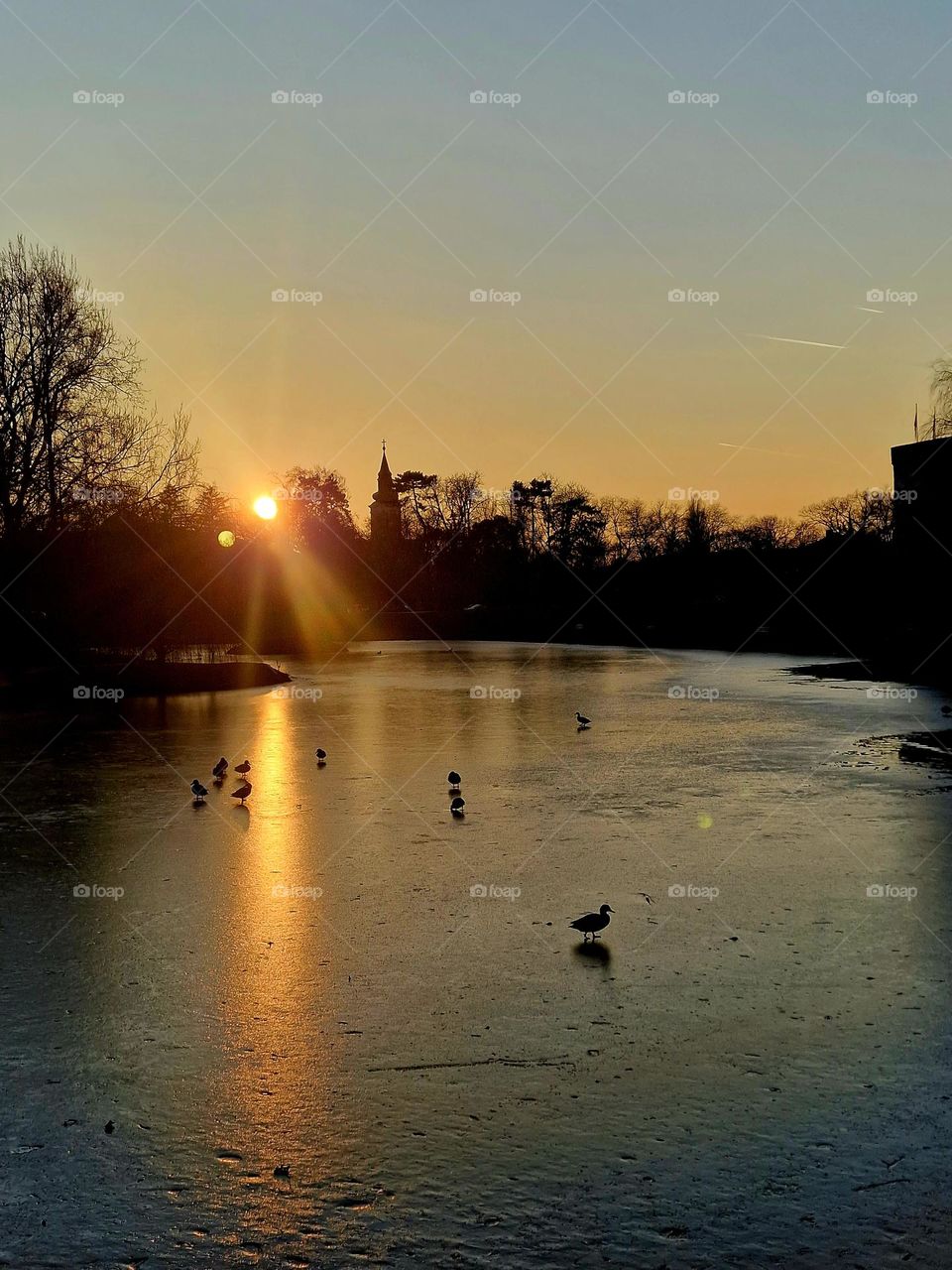 sunset on the frozen lake of Gyula