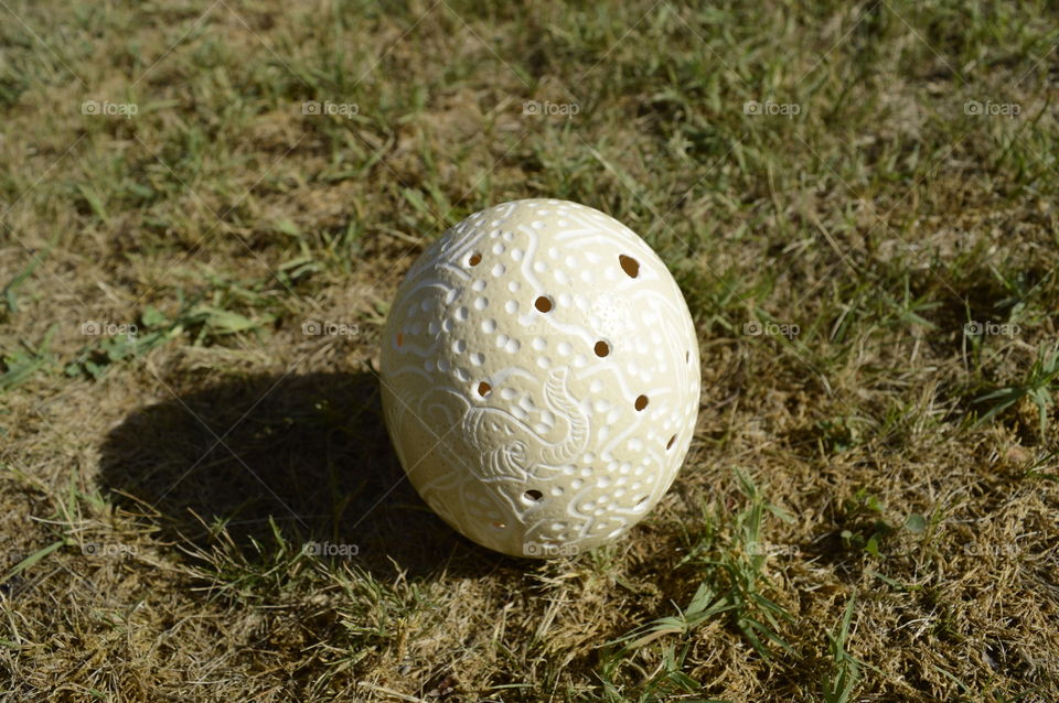 Egg on grass