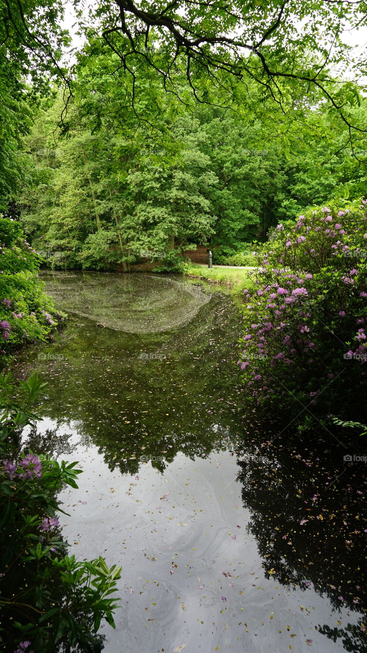 In a park in Antwerp