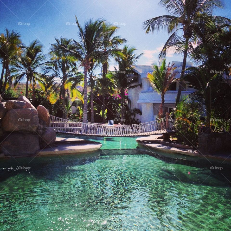 Tropical Pool