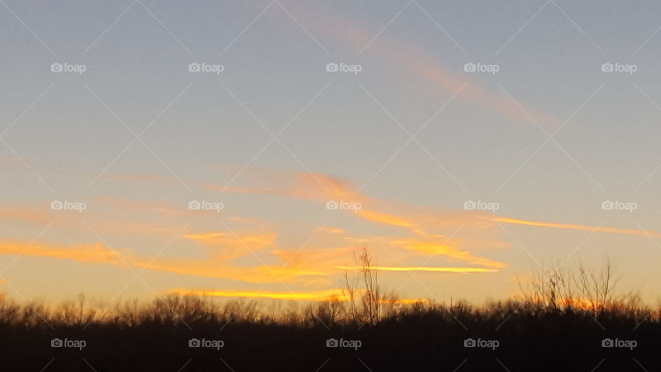 sunset clouds over the trees