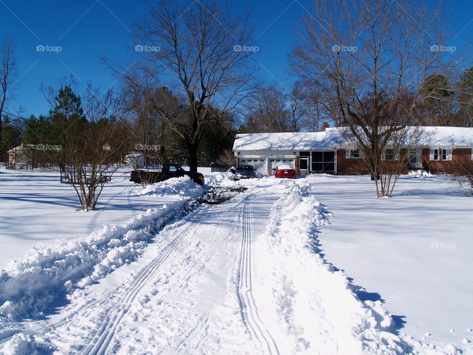 Snow, Winter, Cold, Frost, Frozen