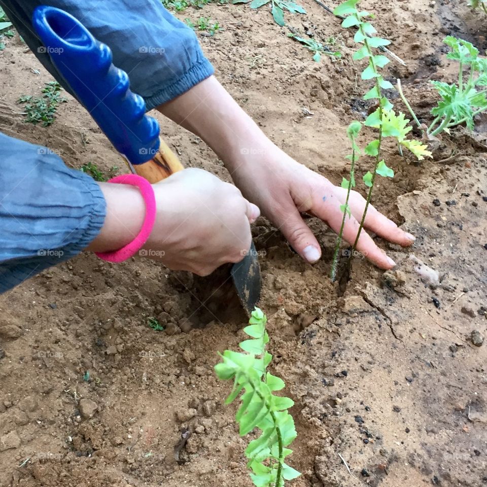 Gardening 