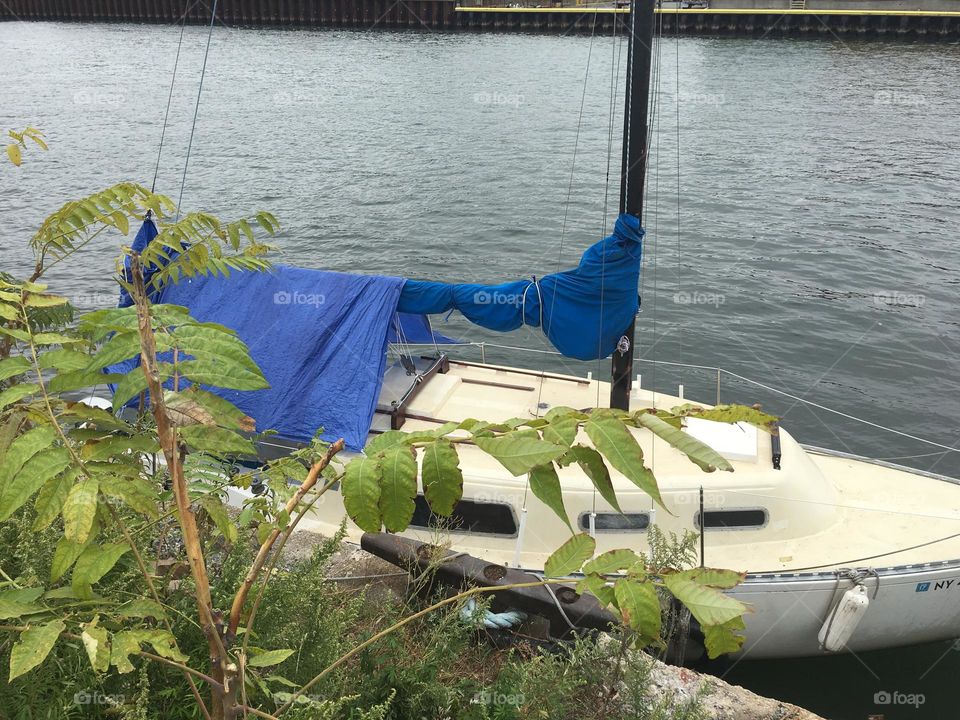 The „Salvation“, our sailboat seen from the shore at Newtown Creek in Long Island City, Queens, New York with lush green vegetation blowing in the wind on this beautiful summertime afternoon in 2018. Hypnotic Productions