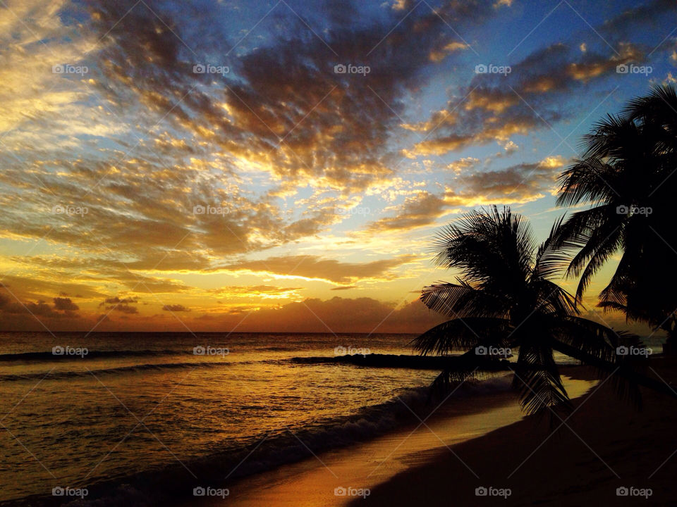 beach ocean sunset palm by grwiffen