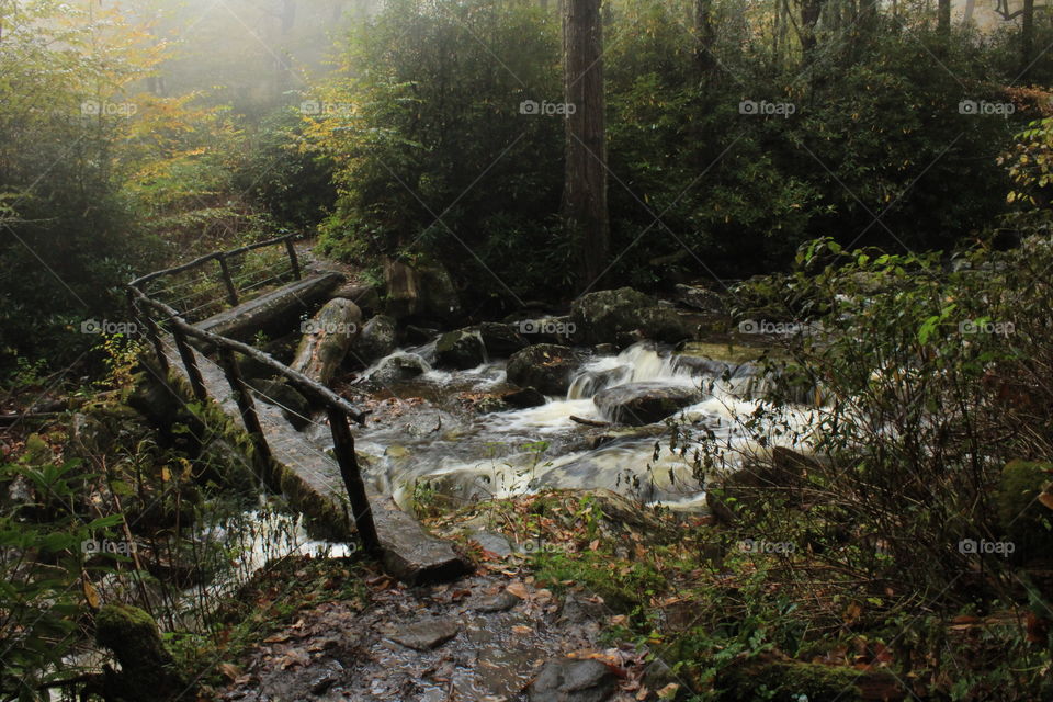 Log bridge over a roaring creek in smokey mountain national Park.  rainy and dark for the entire hike.