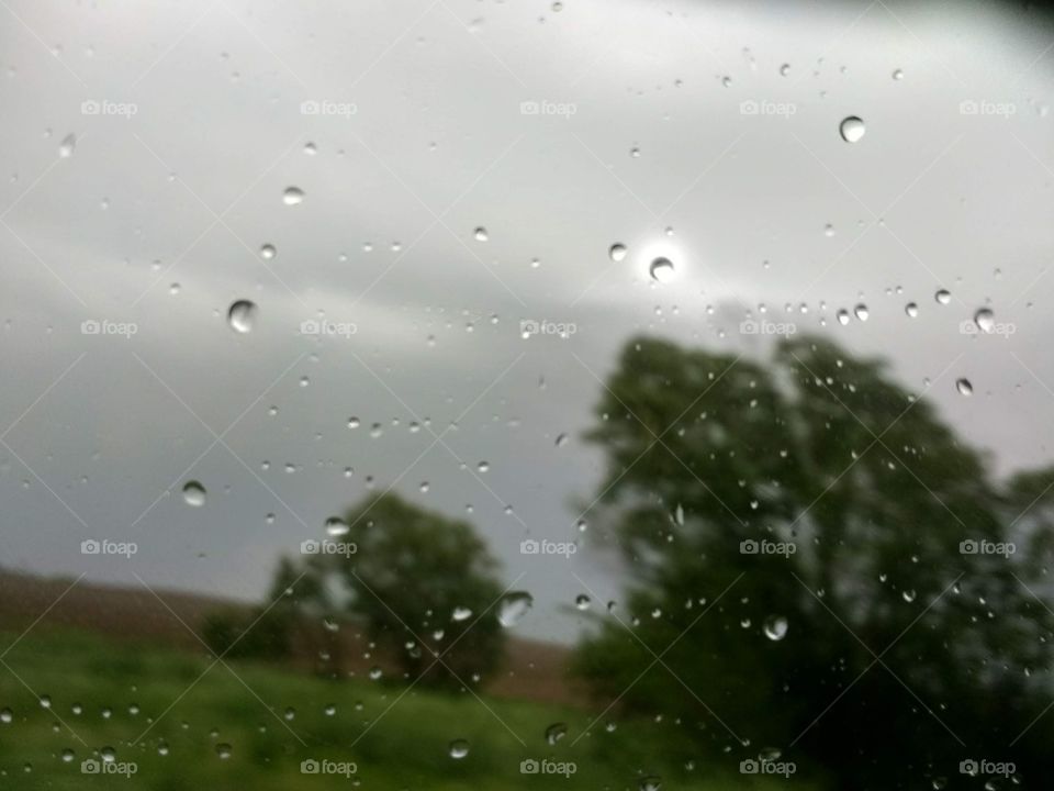 Nature is so beautiful when it's rainy days because it's because of raining all the flowers and plants grows fast and makes our nature beautiful ❤️🌺❤️❤️