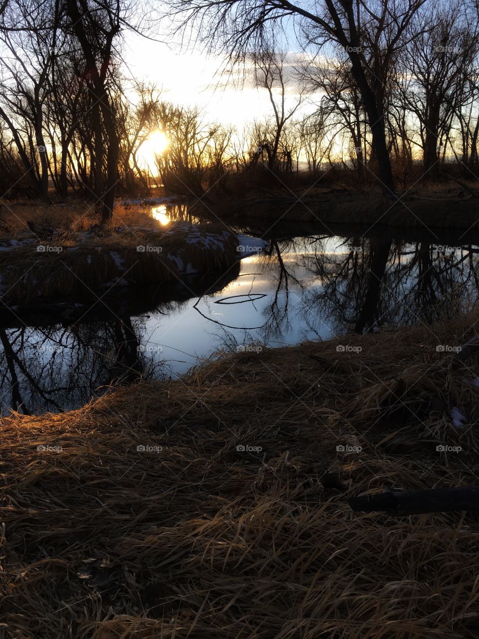 Winter creek sunset 