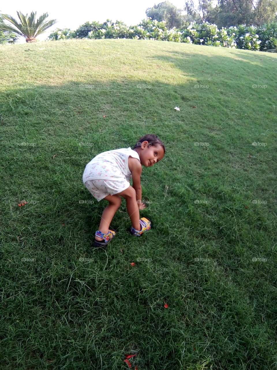 a little boy playing in garden.