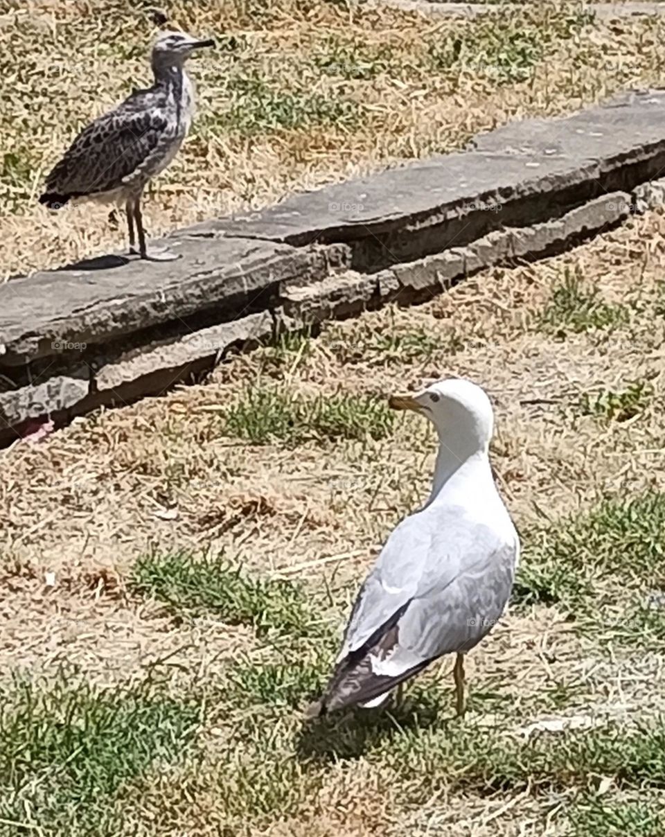 A beautiful creation of nature