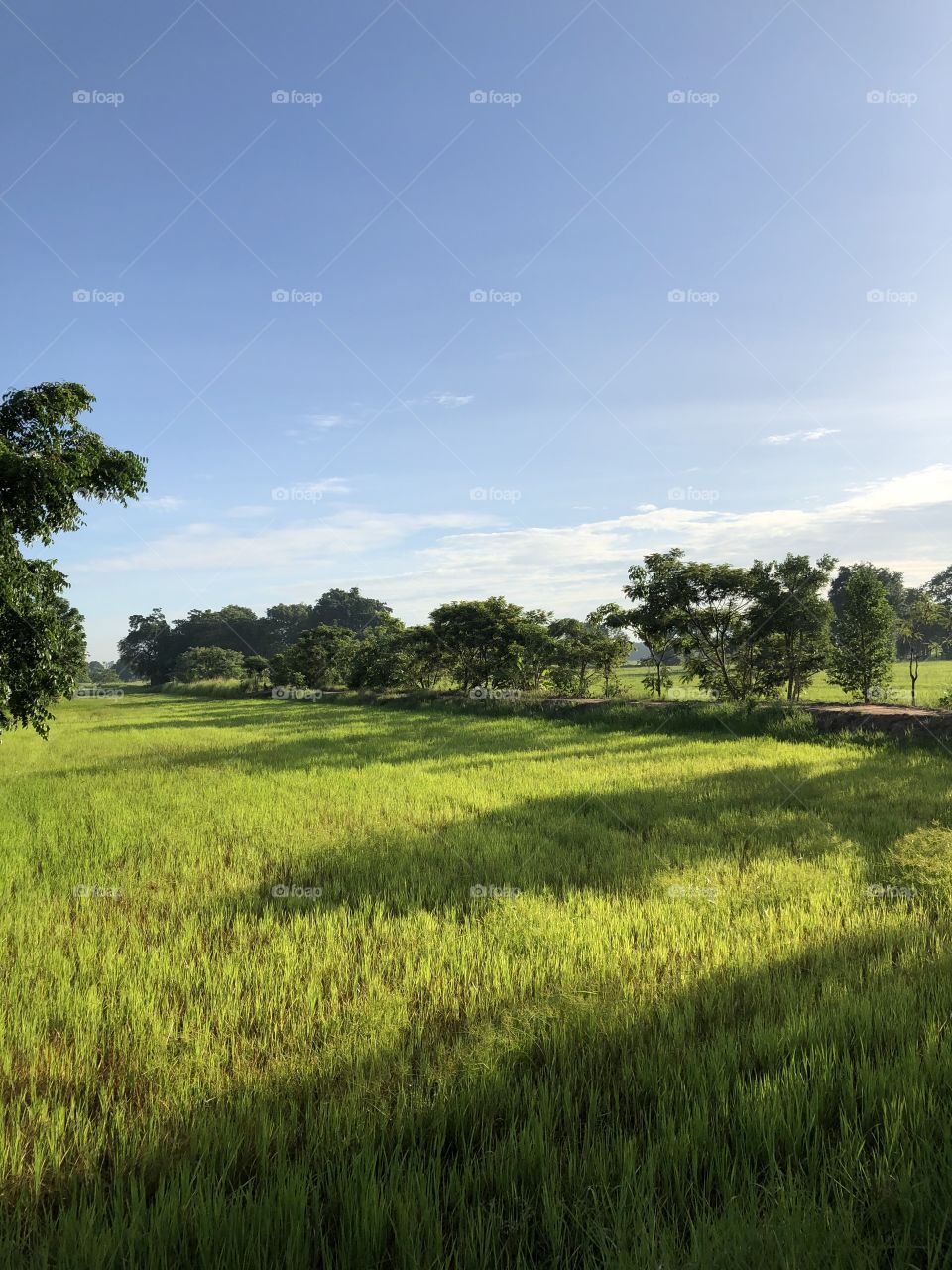 Holiday with my family, Countryside ( Thailand 🇹🇭