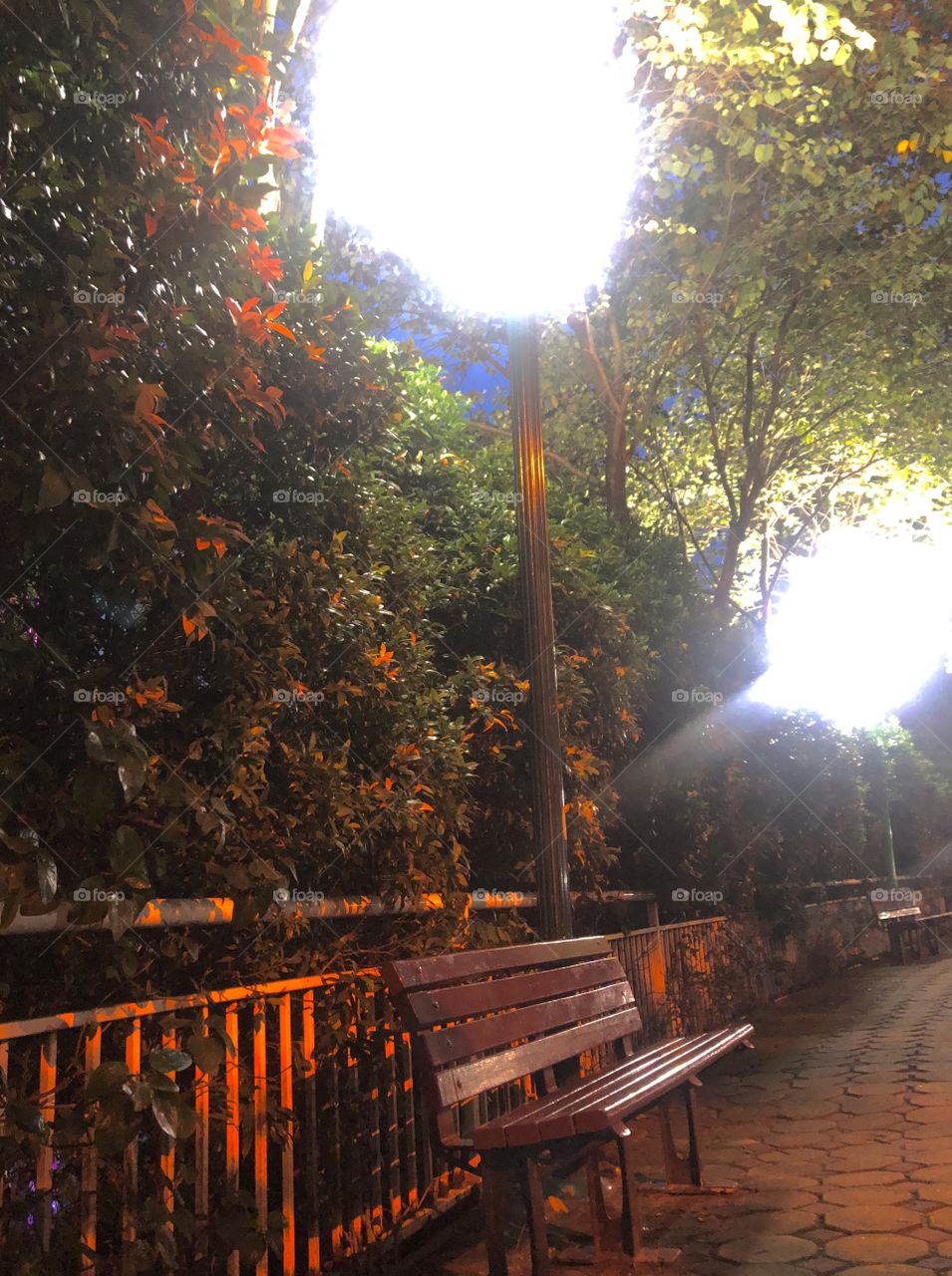 the shadow is not real