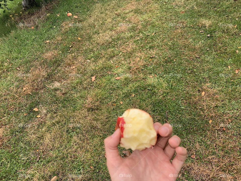 Apple biting 