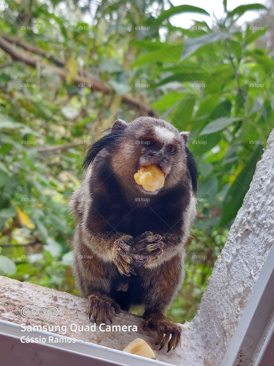 definir essa imagem 📷