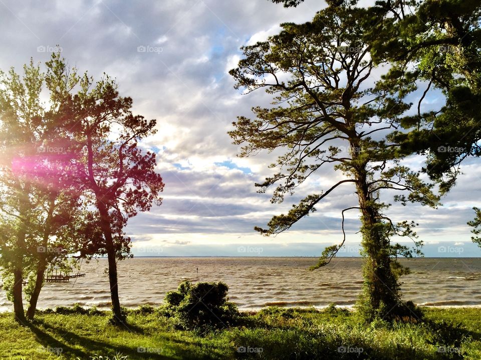 Waterside Bayfront public boardwalk in Fairhope Alabama