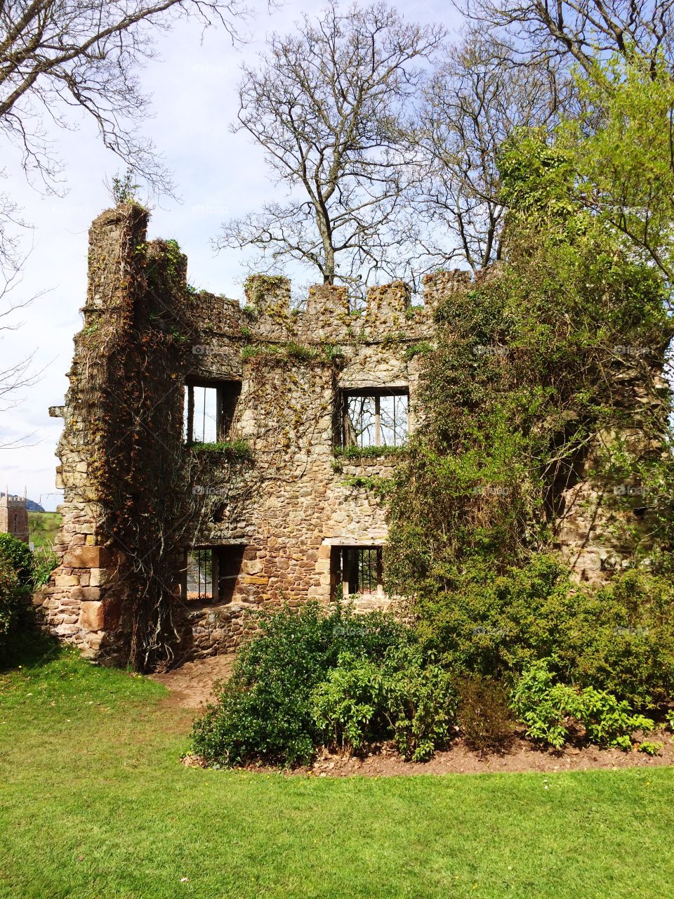 You Ruin (ed) my camouflage 