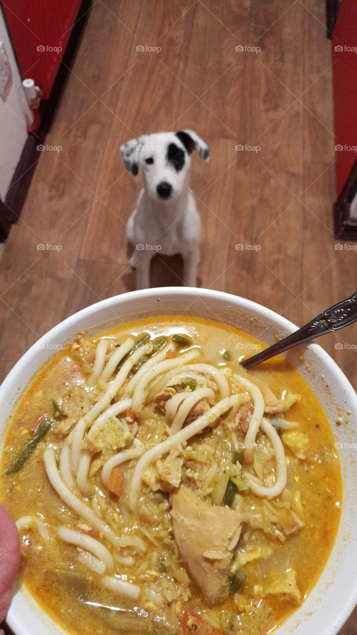 Home made noodle broth