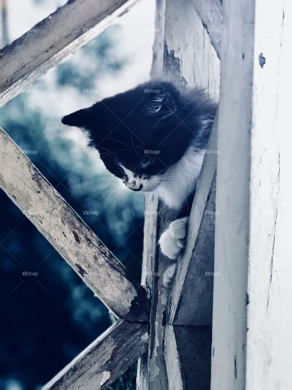 Kitty’s planning to go down 