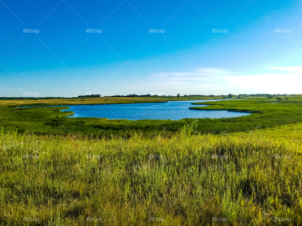 Swamp in the Prairie