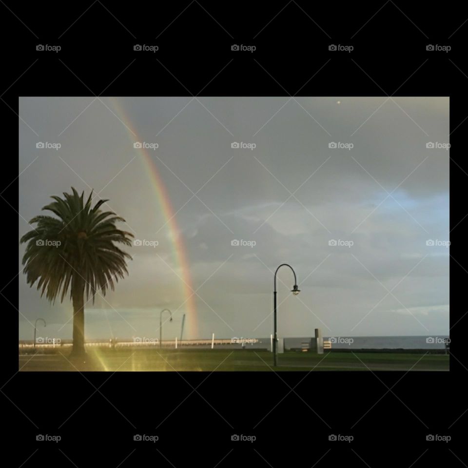 summer in the city 11