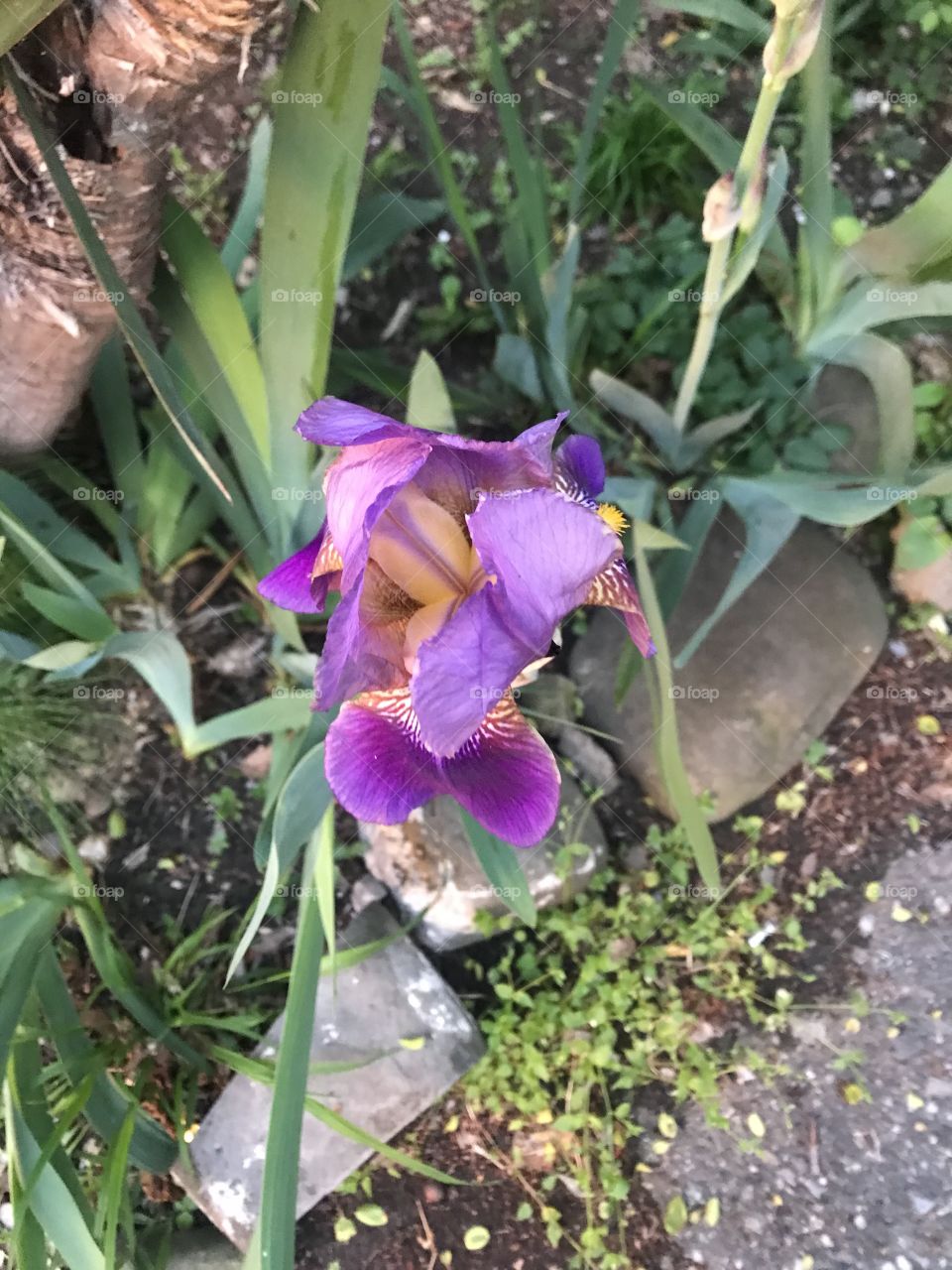 Санаторий Чемитоквадже Сочи 