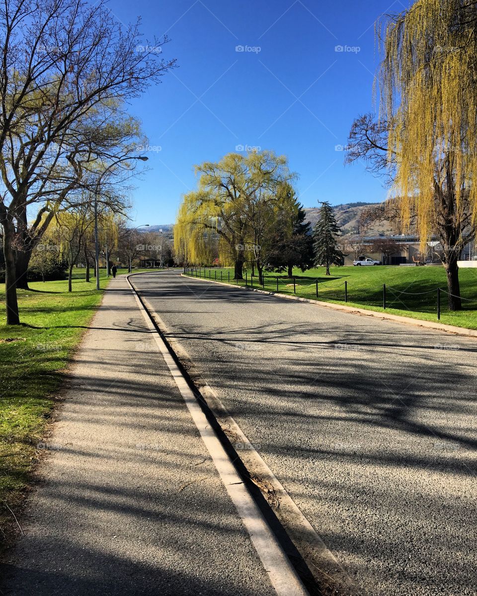 Beautiful spring day 