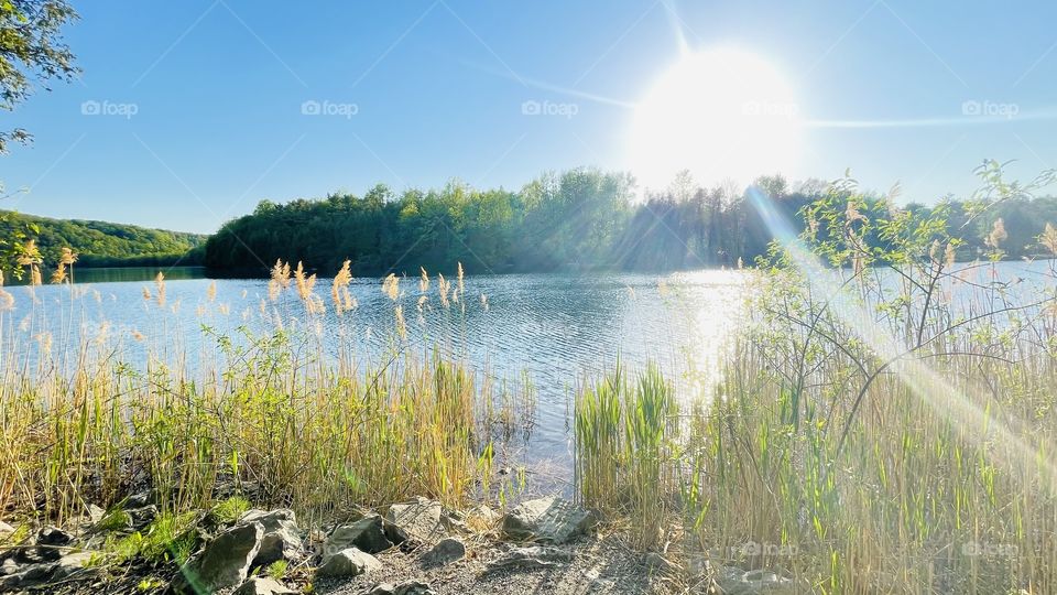 lakeshore views through a lens