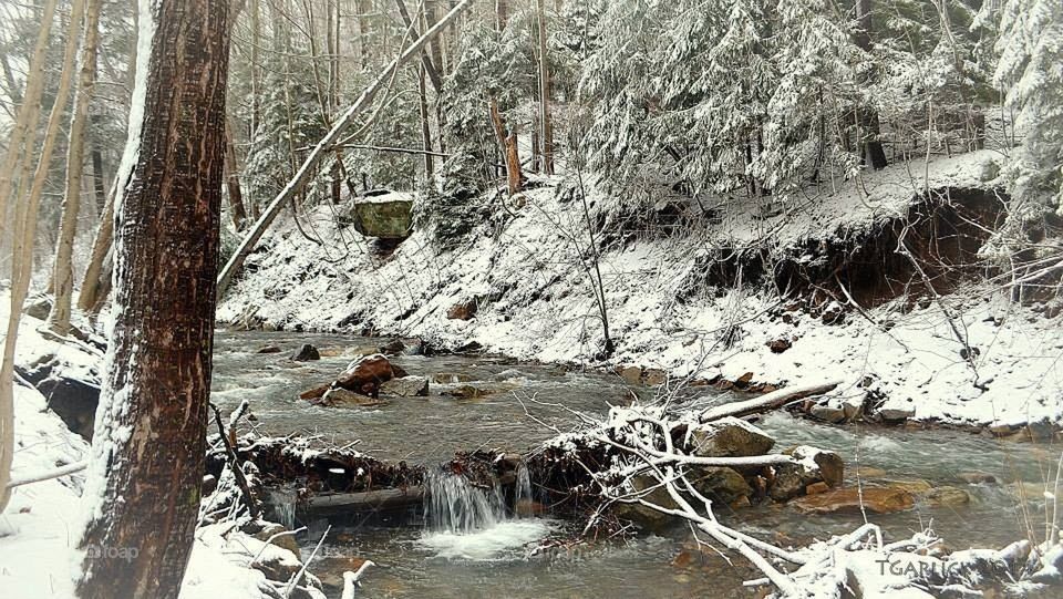 Winter creek side