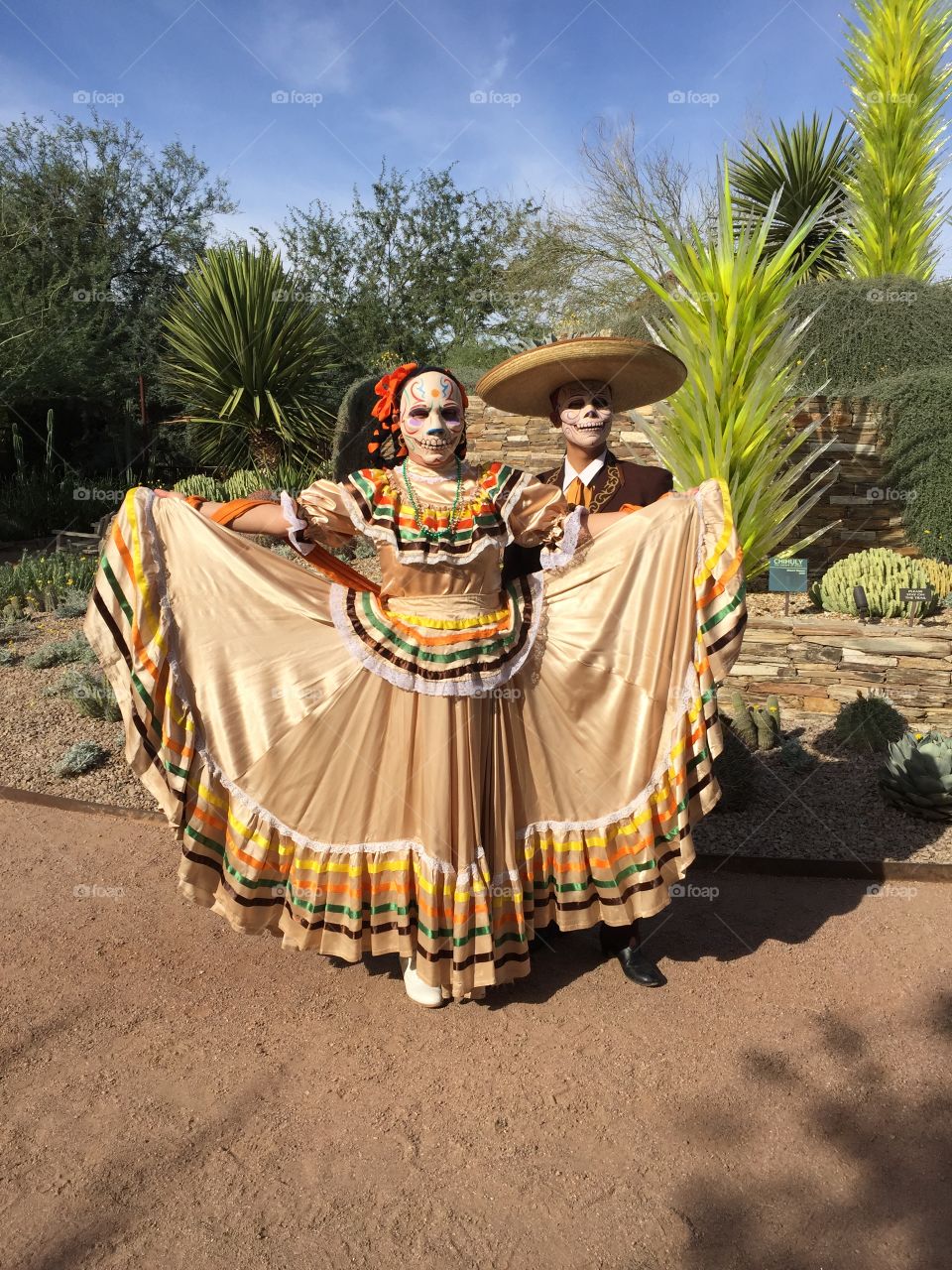 Desert Botanical Garden 