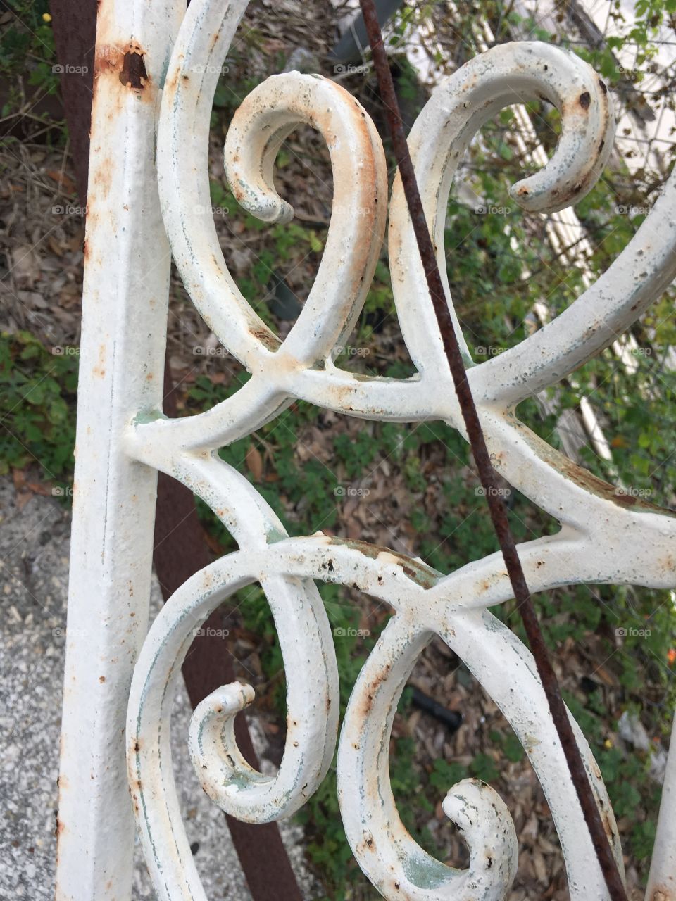 Beautiful old white gate