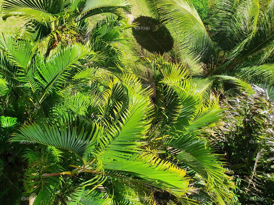 Nice  View from above