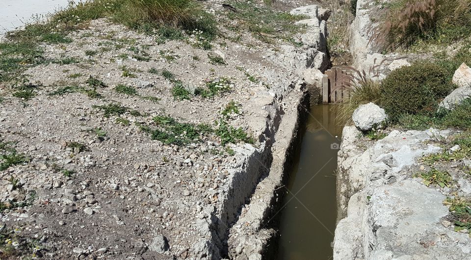 Waterway At Nahal Taninim
