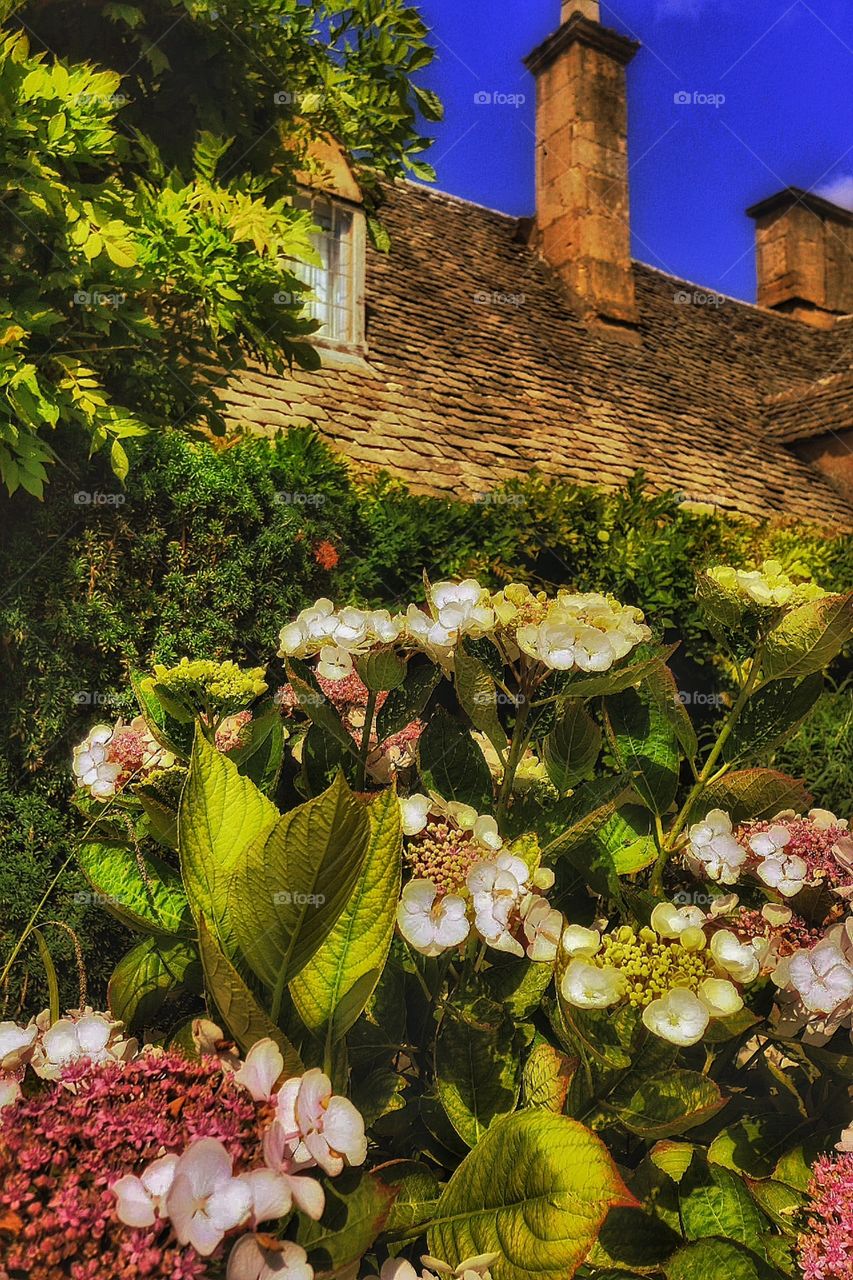 Cottage. Cotswolds