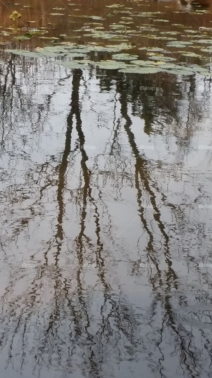 reflection