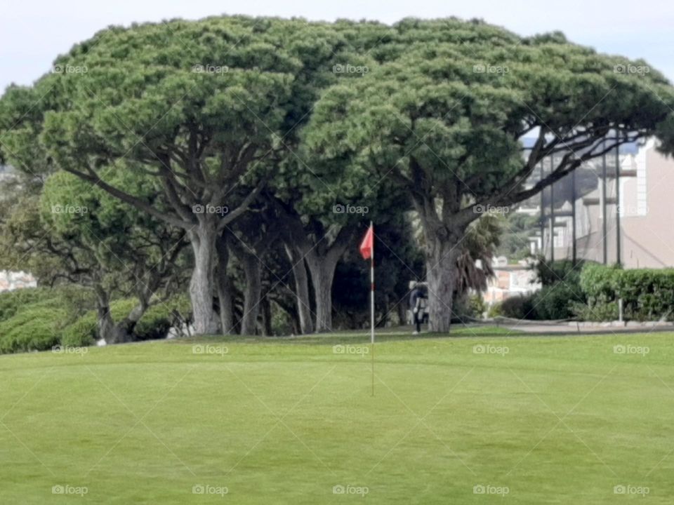 Spotless Green? Nope :)