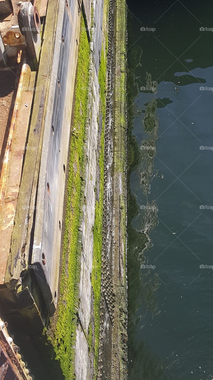 Wonders of Engineering