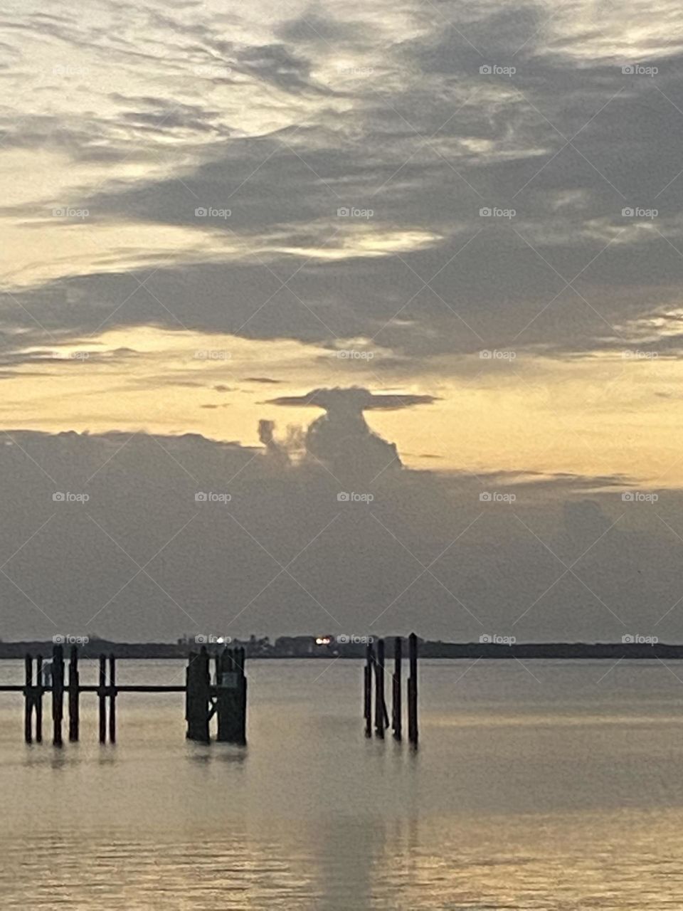 Welcome spring sunshine 