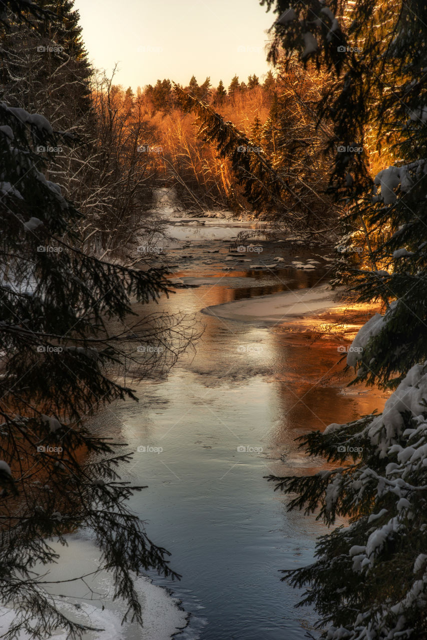 River. Stream. Rocks. Winter.