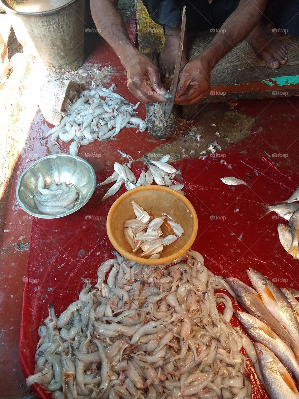 FISH MARKET
