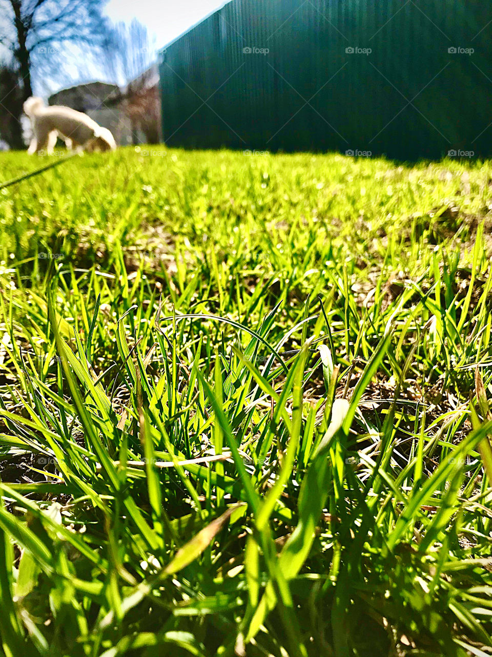 Bright start to spring day