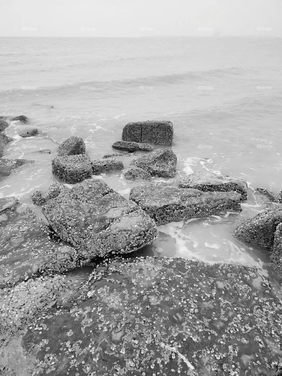 Sea, ocean