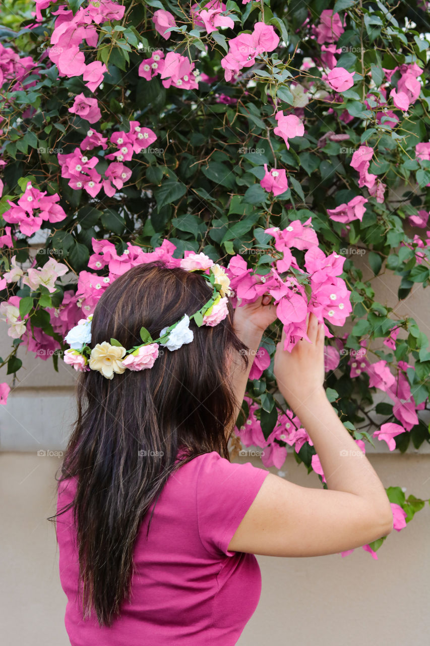 Pink Flowers