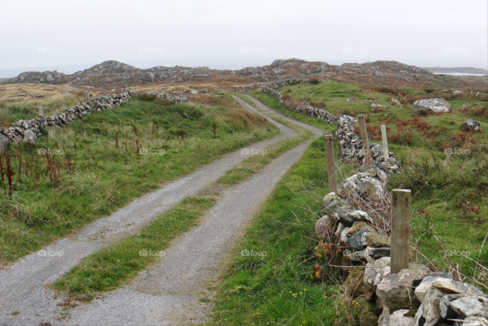 ireland grass fence stones by kshapley