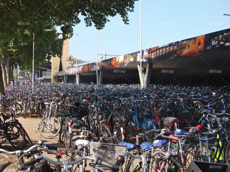 Bikes at Dutch train station