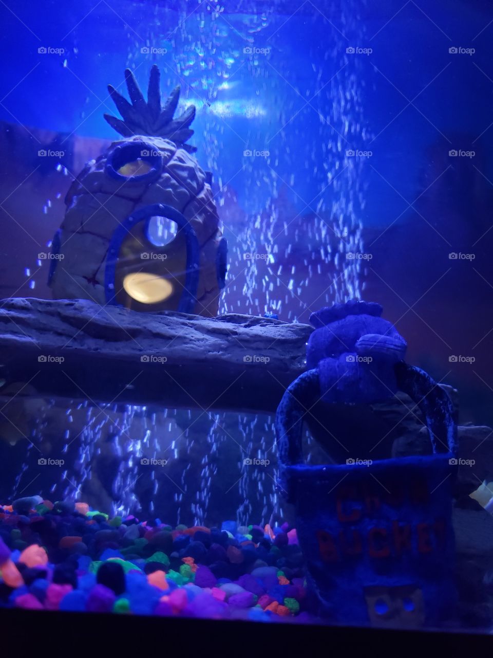 Sponge Bob and Plankton