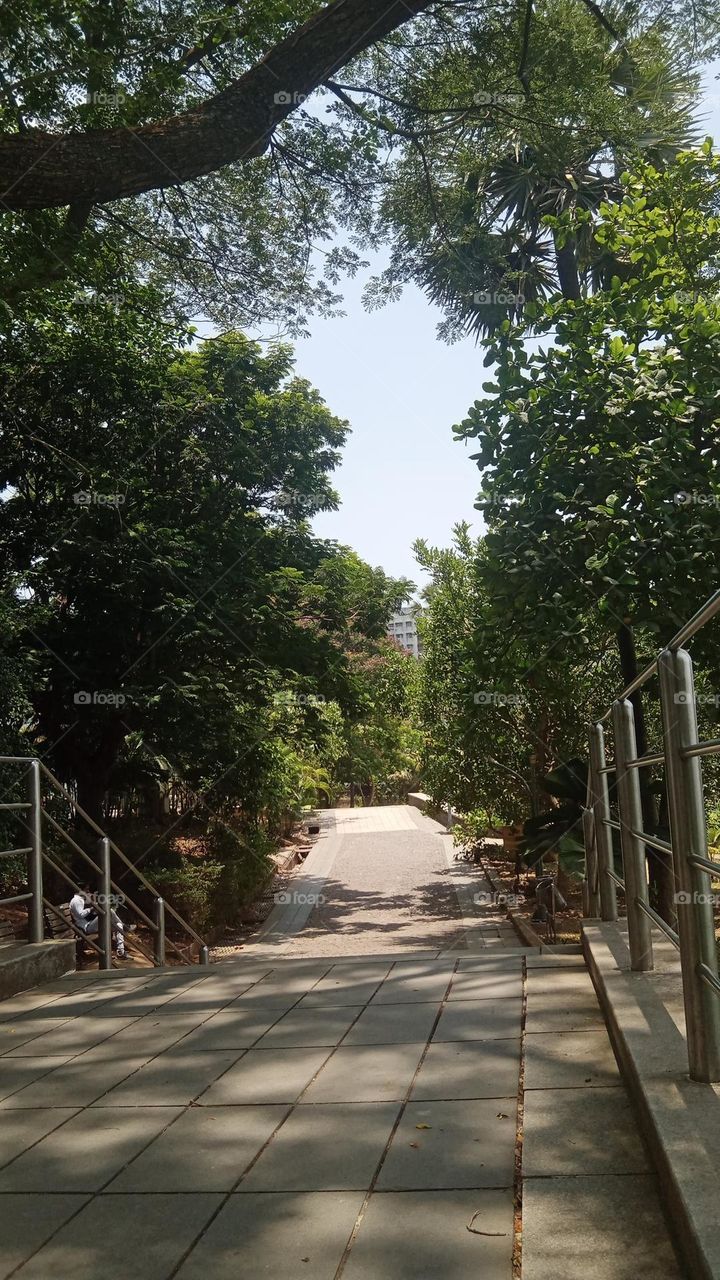 this image is one of my favourite it describes the beauty of nature well sitting nd looking at the place gave me so much peace.