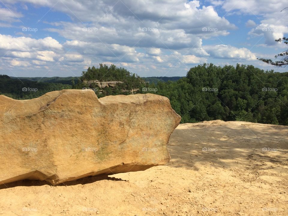 Taken summer 2014 while camping in Kentucky.
